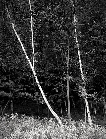 ADIRONDACKS