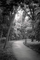 NYC_Nature_7.21.23_BronxHenryHudsonPark_14