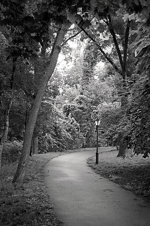 NYC_Nature_7.21.23_BronxHenryHudsonPark_14