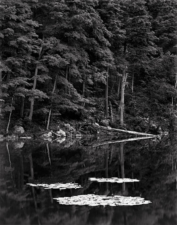 NOTCH LAKE