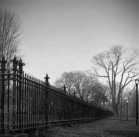 JanuaryMorning Walk_031