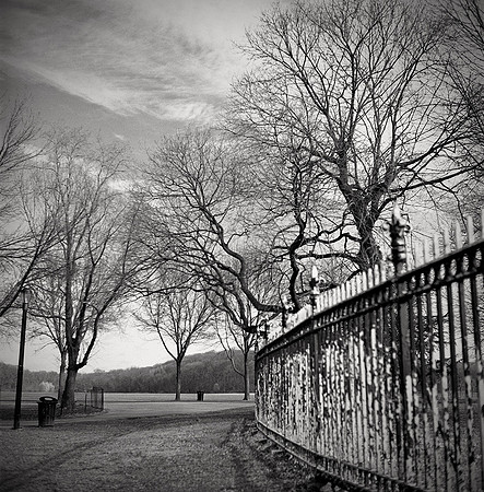 MarchMorningWalk4